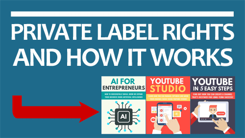 Private Label Rights: How PLR Works
